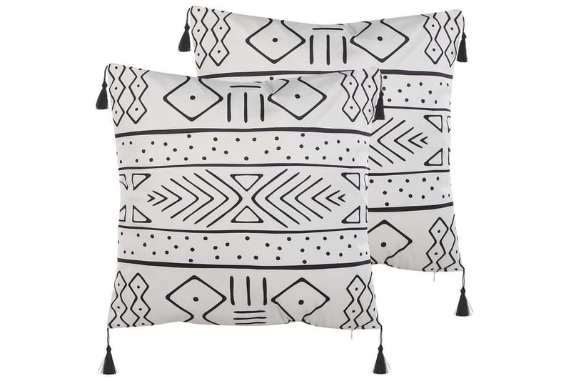 Pynteputer Schefflera sett med 2 stk. Firkantet, Firkantet