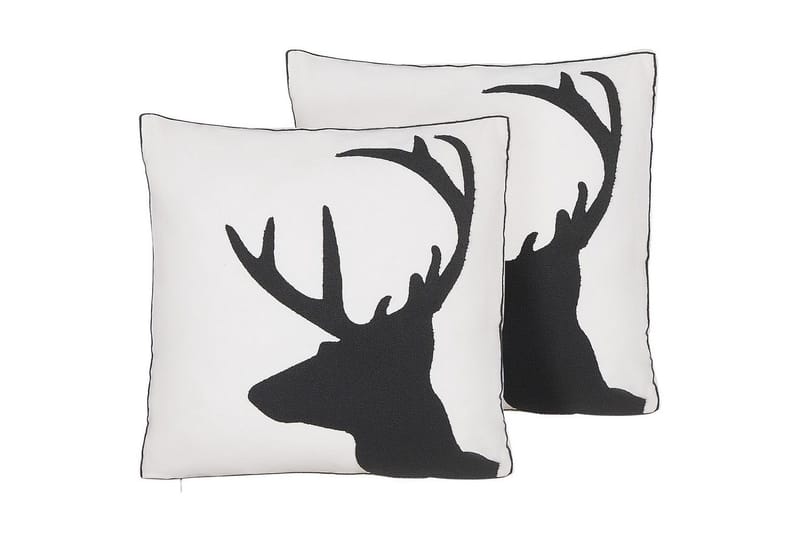 Pynteputer Shadrack sett på 2