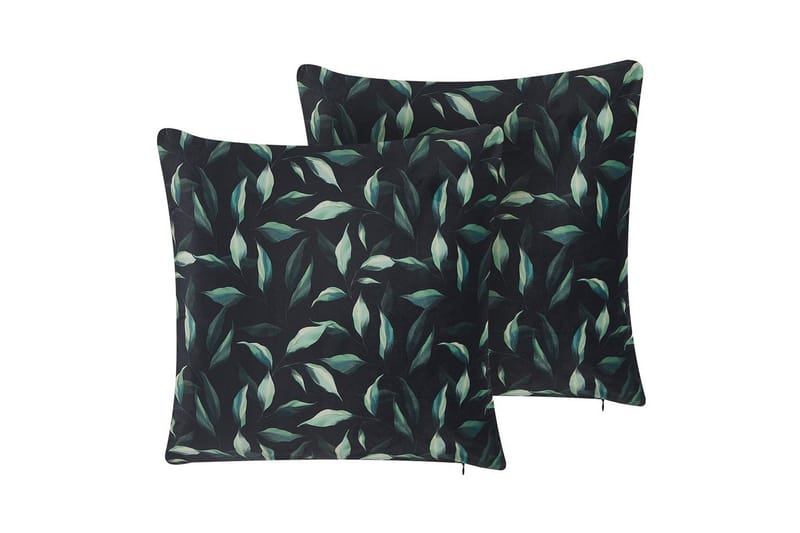 Pynteputer Toadflax sett av 2