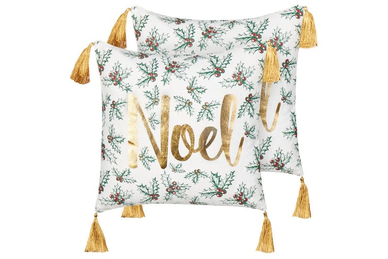 Pynteputer Zamia sett med 2