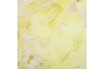 Pynteputer Pachira sett av 2 - Hagemøbler & utemiljø - Puter - Hageputer