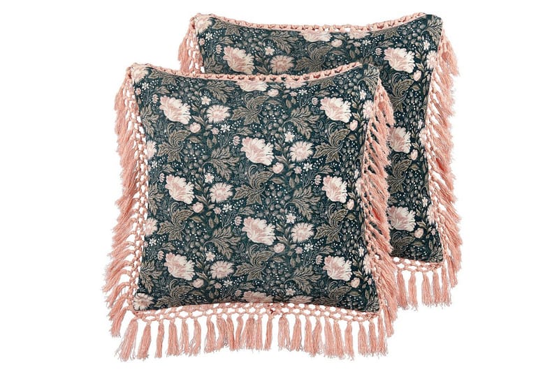 Pynteputer Parrotia sett av 2