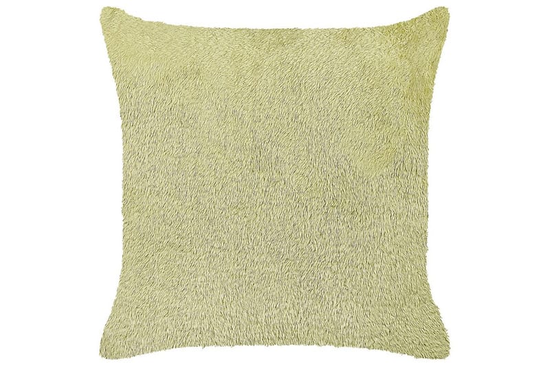 Pynteputer Pilea Grønn, Grønn