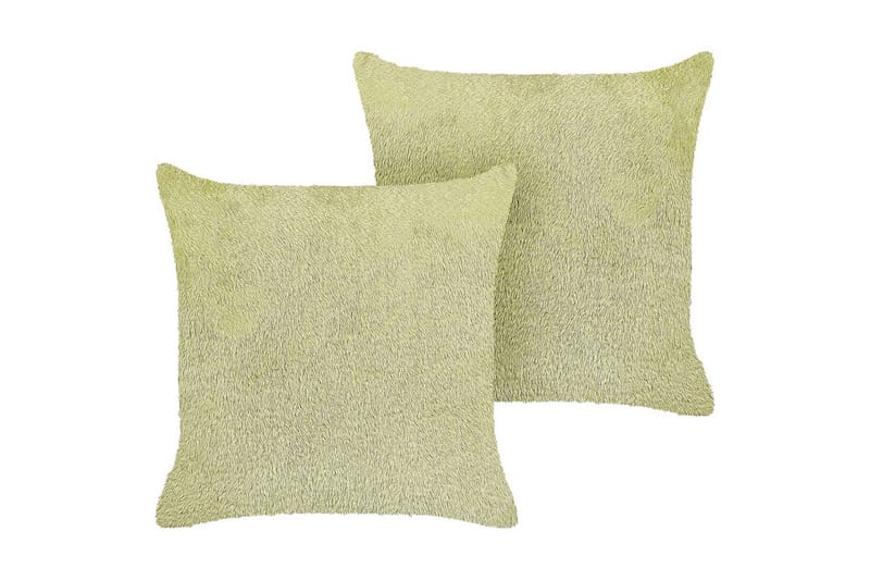 Pynteputer Pilea sett med 2 Grønn, Grønn