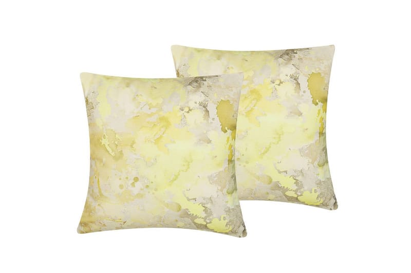 Pynteputer Pachira sett av 2