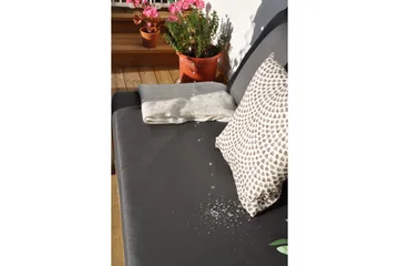 Royal Palle Sittepute 120x80 cm Vannavstøtende Svart - Fritab - Hagemøbler & utemiljø - Puter - Hagepute ute