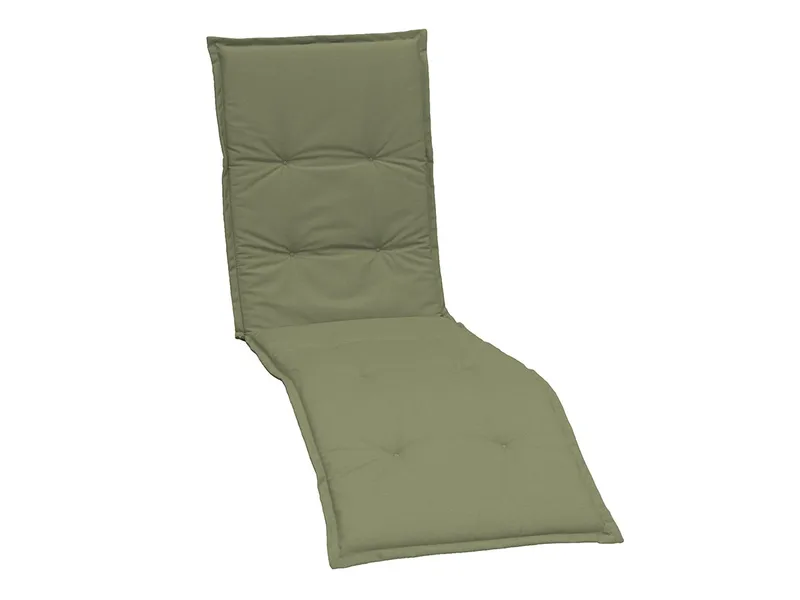 Solsengpute Hillerstorp 945, Salvie