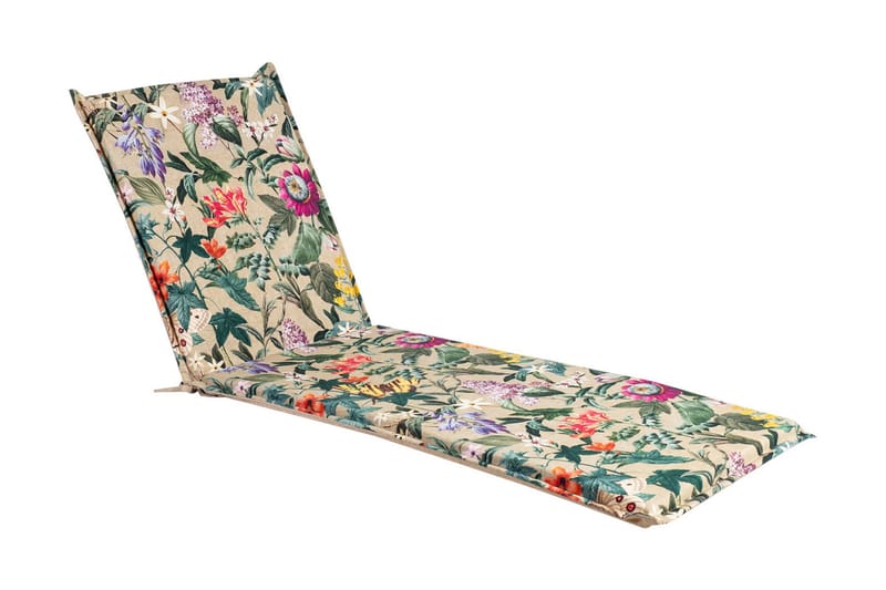 Solsengpute Amazonia