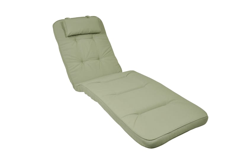 Standard Solsengpute, Grønn