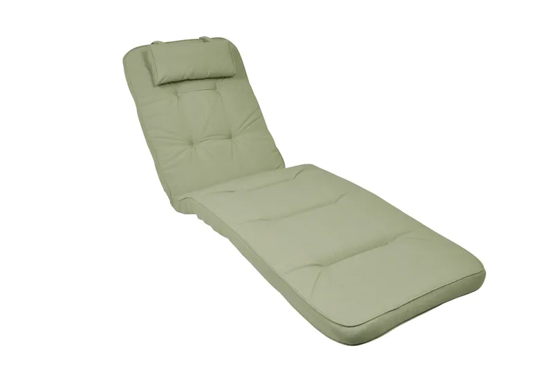 Standard Solsengpute, Grønn