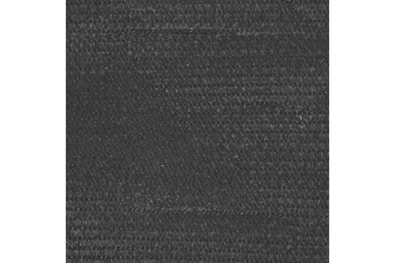 Balkongskjerm antrasitt 90x300 cm HDPE - Antrasittgrå - Balkongbeskyttelse