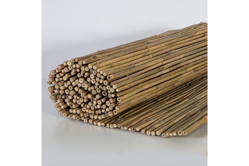 Bambuaita i hagen - Balkongbeskyttelse