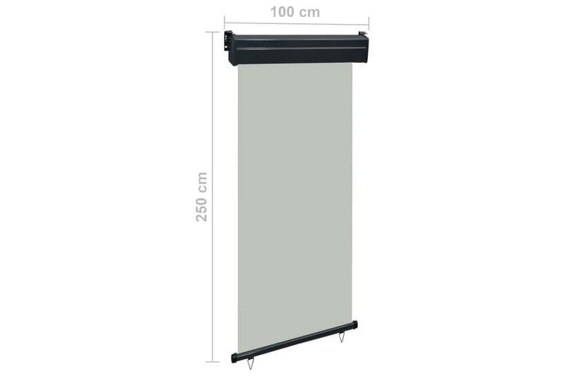 Sidemarkise for balkong 100x250 cm grå - Grå - Sidemarkise - Markiser