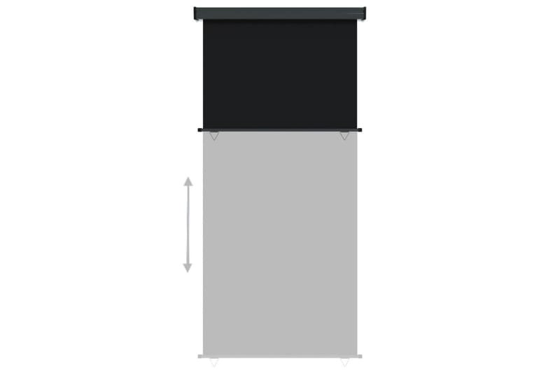 Sidemarkise for balkong 117x250 cm svart - Svart - Markiser - Vindusmarkise