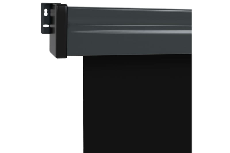 Sidemarkise for balkong 140x250 cm svart - Svart - Sidemarkise - Markiser
