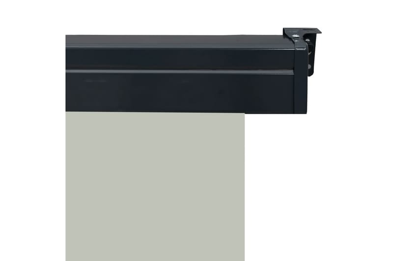 Sidemarkise for balkong 160x250 cm grå - Grå - Sidemarkise - Markiser