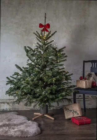 Granig juletrefot 45 cm - muldvarpfarget og naturtre - Interiør - Dekorasjon & innredningsdetaljer - Julepynt & juledekorasjon