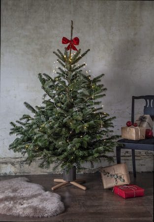 Granig juletrefot 45 cm - muldvarpfarget og naturtre - Interiør - Dekorasjon & innredningsdetaljer - Julepynt & juledekorasjon