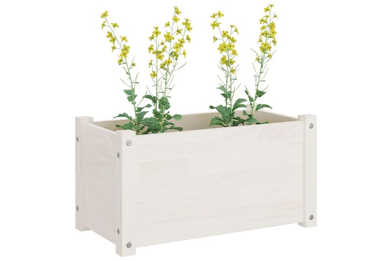 Blomsterkasse hvit 60x31x31 cm heltre furu - Hvit - Utepotter - Blomsterkasser