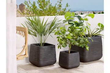 Krukke 50 x 50 x 49 cm svart PARIKIA - Svart - Interiør - Dekorasjon & innredningsdetaljer - Krukker - Utepotter