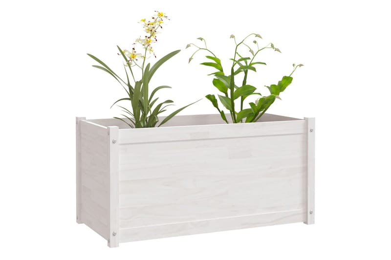 Plantekasse 2 stk hvit 100x50x50 cm heltre furu - Hvit - Utepotter - Blomsterkasser