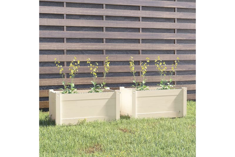 Plantekasser 2 stk hvit 60x31x31 cm heltre furu - Hvit - Utepotter - Blomsterkasser