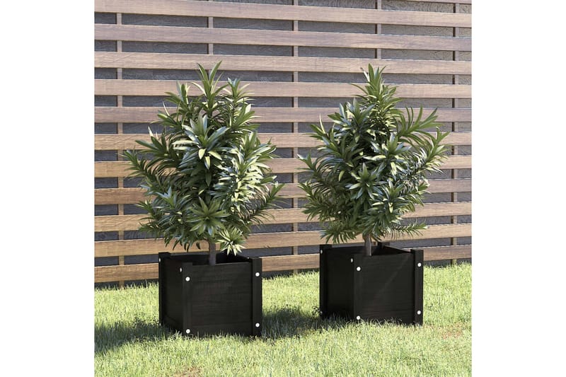 Plantekasser 2 stk svart 31x31x31 cm heltre furu - Svart - Utepotter - Blomsterkasser