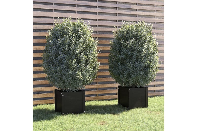 Plantekasser 2 stk svart 40x40x40 cm heltre furu - Svart - Utepotter - Blomsterkasser