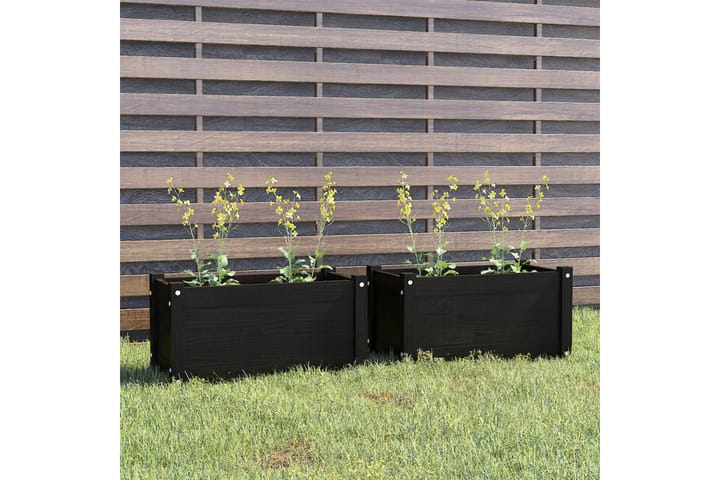 Plantekasser 2 stk svart 60x31x31 cm heltre furu - Svart - Blomsterkasser - Utepotter