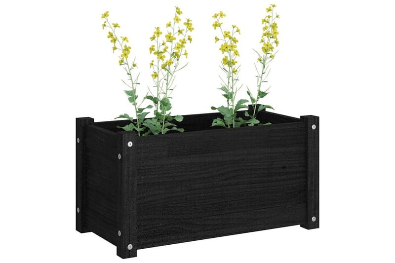 Plantekasser 2 stk svart 60x31x31 cm heltre furu - Svart - Blomsterkasser - Utepotter