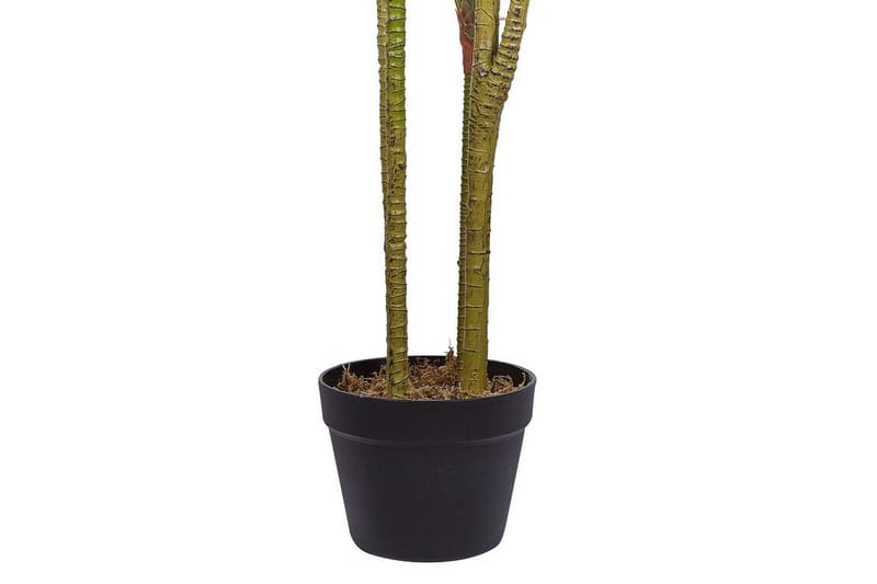 Berden Kunstig potteplante 147 cm Dracaena anita - Grønn - Interiør - Dekorasjon & innredningsdetaljer - Kunstige planter