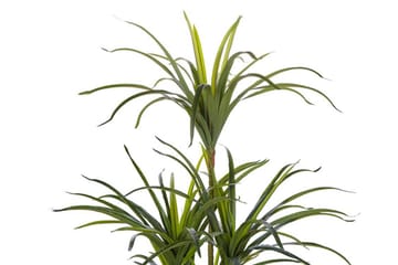 Berden Kunstig potteplante 147 cm Dracaena anita - Grønn - Interiør - Dekorasjon & innredningsdetaljer - Kunstige planter