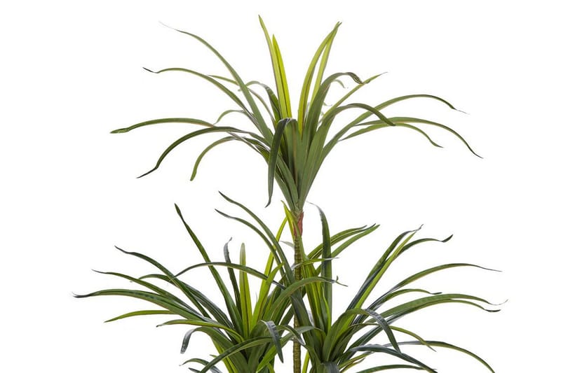 Berden Kunstig potteplante 147 cm Dracaena anita - Grønn - Interiør - Dekorasjon & innredningsdetaljer - Kunstige planter