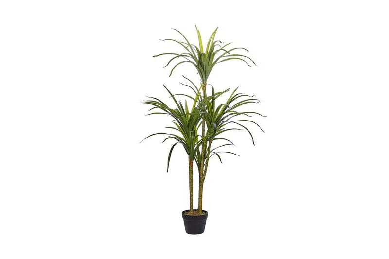Berden Kunstig potteplante 147 cm Dracaena anita, Grønn