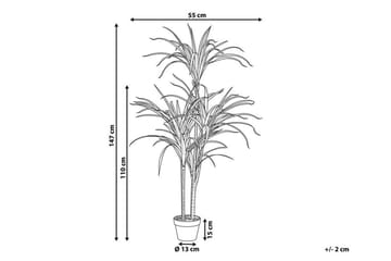 Berden Kunstig potteplante 147 cm Dracaena anita - Grønn - Interiør - Dekorasjon & innredningsdetaljer - Kunstige planter