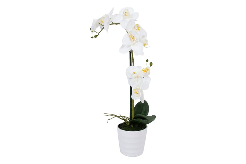 Hvit Orkidea 51 cm på Hvit Krukke - Kunstige planter - Blomsterdekorasjon