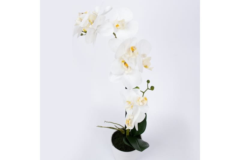 Hvit Orkidea 51 cm på Hvit Krukke - Kunstige planter - Blomsterdekorasjon
