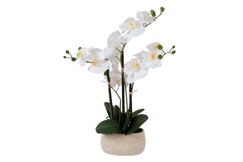 Kunstig Orkide In Garden Hvit - Kunstige planter - Blomsterdekorasjon