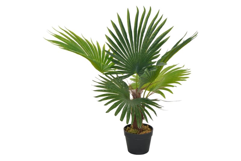 Kunstig palme med potte grønn 70 cm - Flerfarget - Kunstige planter - Blomsterdekorasjon