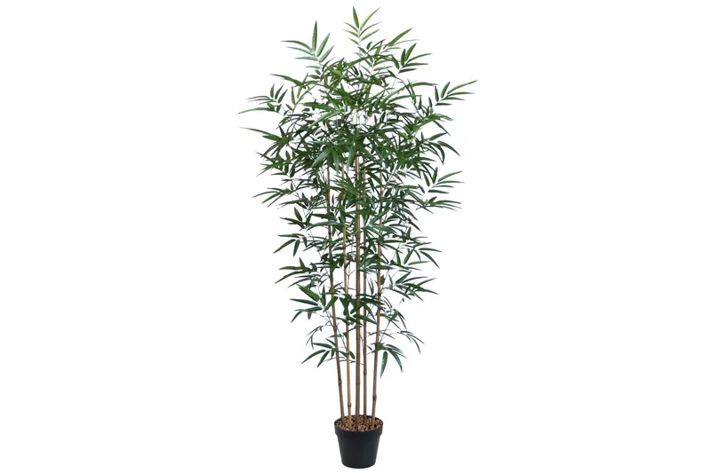 Plante BAMBOO H150cm med Potte