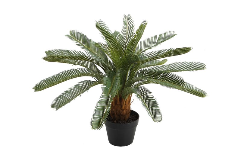 Plante CYCAS H70cm Med potte - Kunstige planter - Blomsterdekorasjon