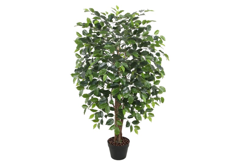 Plante FICUS H120cm med potte