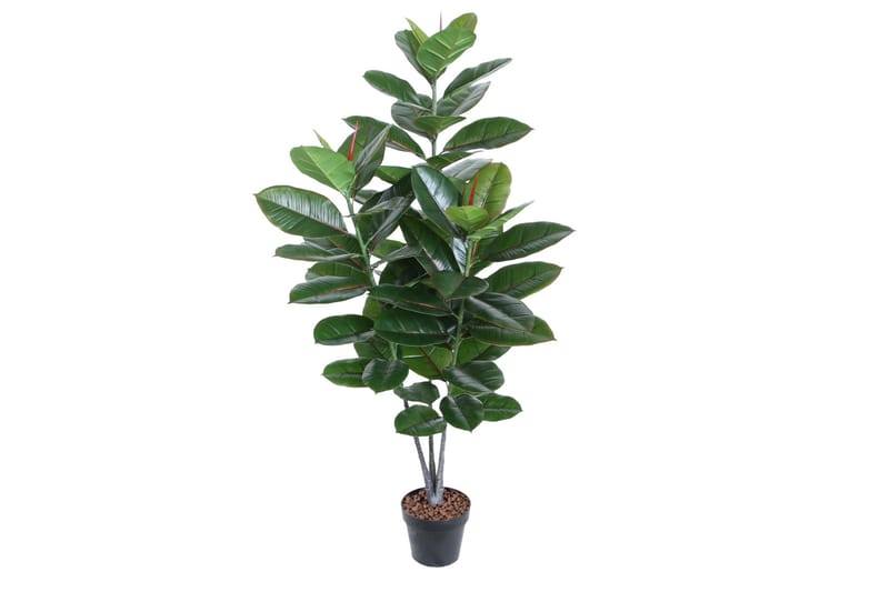 Plante RUBBERPLANT H130cm 3 grener Kunstig