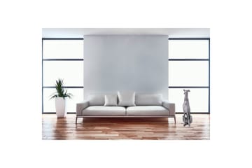 Dekorativ figur Wohnling Aluminium Hund Sølv Moderne - Interiør - Dekorasjon & innredningsdetaljer - Pyntegjenstander - Skulptur