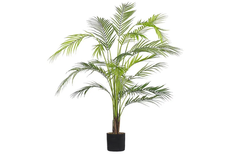 Konstgjord växt Beliani Areca Palm 12x12x124 cm Green||Black