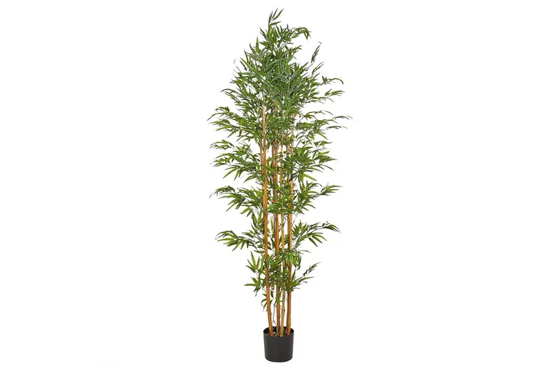 Konstgjord växt Beliani Bamboo Green, Light colored wood