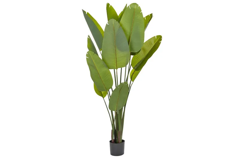 Konstgjord växt Beliani Banana Tree Grön/Svart, 115x115x187 cm Green||Black