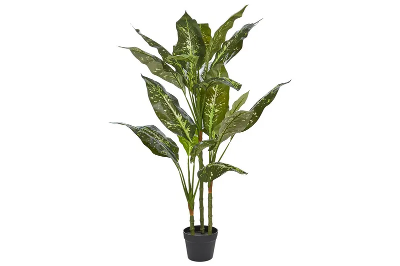 Konstgjord växt Beliani Dieffenbachia 55x55x110 cm Green||Black