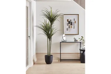 Konstgjord växt Beliani Dracaena Anita Green||Black - Interiør - Dekorasjon & innredningsdetaljer - Pyntegjenstander - Blomsterdekorasjon