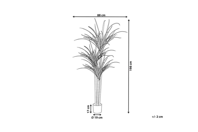 Konstgjord växt Beliani Dracaena Anita Green||Black - Interiør - Dekorasjon & innredningsdetaljer - Pyntegjenstander - Blomsterdekorasjon